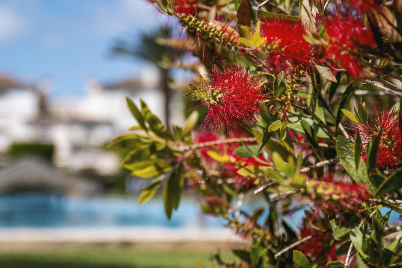 Avalon Daire Javea Dış mekan fotoğraf